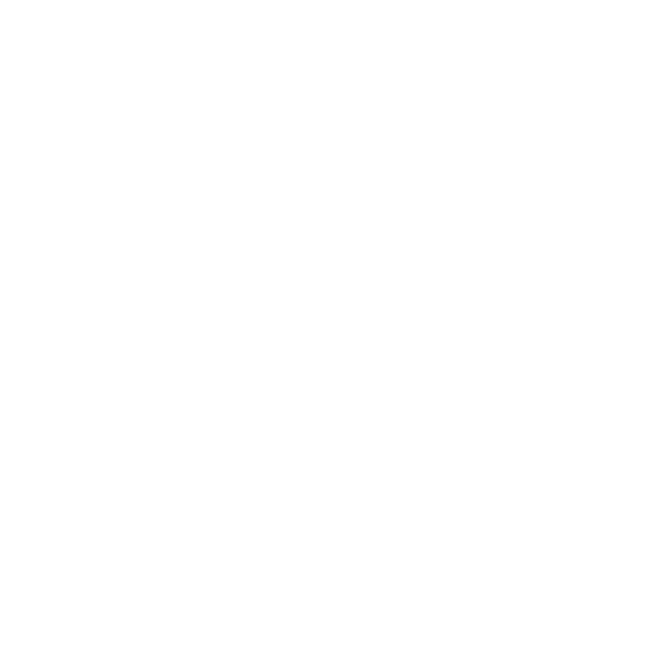 BoniZulu Logo